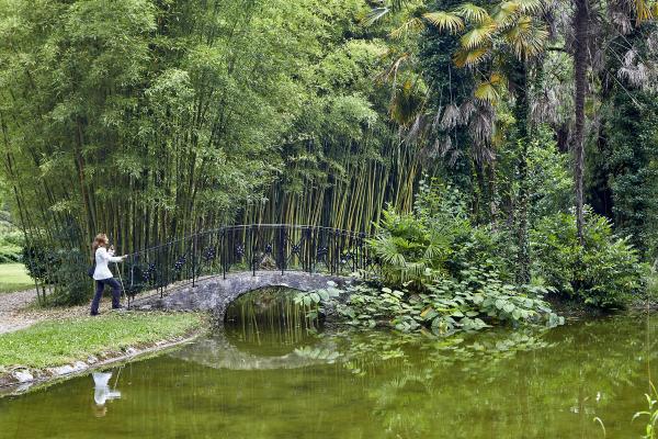 Persona invidente en paseando por el jardín botánico